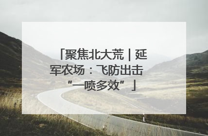 聚焦北大荒｜延军农场：飞防出击 “一喷多效”