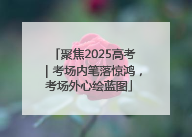 聚焦2025高考｜考场内笔落惊鸿，考场外心绘蓝图
