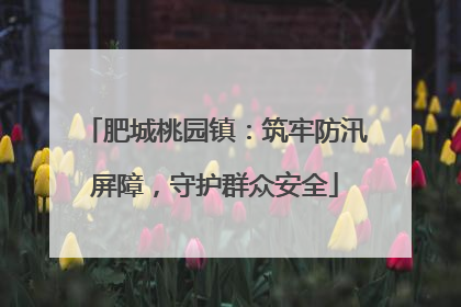 肥城桃园镇：筑牢防汛屏障，守护群众安全