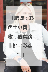 肥城：彩色土豆喜丰收，致富路上好“彩头”