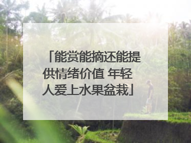 能赏能摘还能提供情绪价值 年轻人爱上水果盆栽