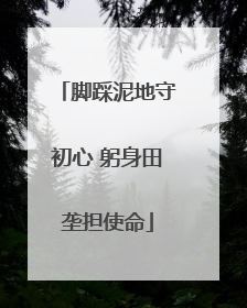 脚踩泥地守初心 躬身田垄担使命