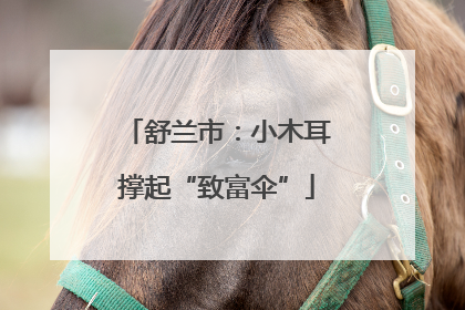 舒兰市：小木耳撑起“致富伞”