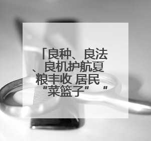 良种、良法、良机护航夏粮丰收 居民“菜篮子”“果盘子”满满“科技范儿”