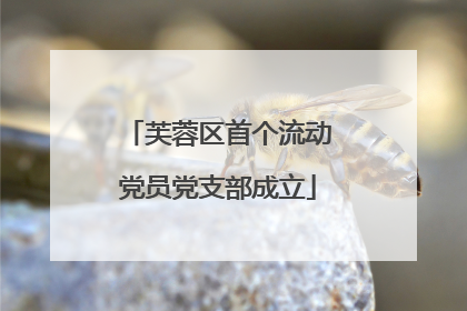 芙蓉区首个流动党员党支部成立