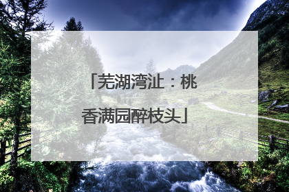 芜湖湾沚：桃香满园醉枝头