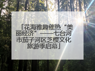 花海雅趣催热“美丽经济”——七台河市茄子河区芝樱文化旅游季启幕