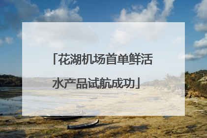 花湖机场首单鲜活水产品试航成功