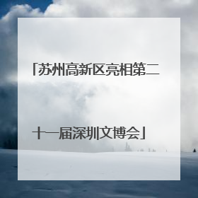 苏州高新区亮相第二十一届深圳文博会