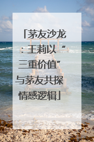 茅友沙龙：王莉以“三重价值”与茅友共探情感逻辑