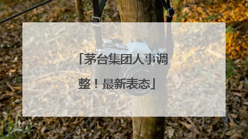 茅台集团人事调整！最新表态