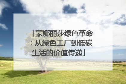 蒙娜丽莎绿色革命：从绿色工厂到低碳生活的价值传递