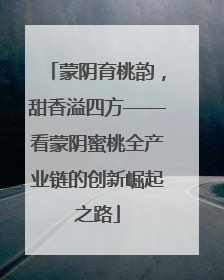 蒙阴育桃韵，甜香溢四方——看蒙阴蜜桃全产业链的创新崛起之路