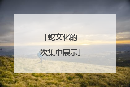 蛇文化的一次集中展示
