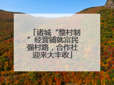 诸城“整村制”经营铺就富民强村路，合作社迎来大丰收