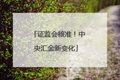 证监会核准！中央汇金新变化