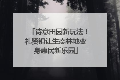 诗意田园新玩法！礼贤镇让生态林地变身惠民新乐园
