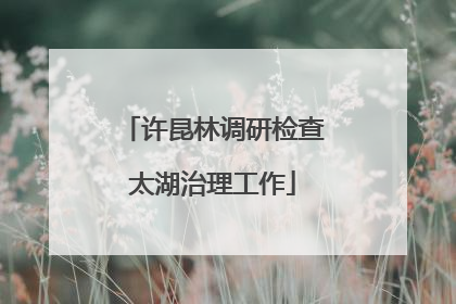 许昆林调研检查太湖治理工作