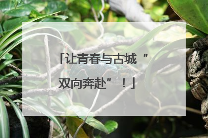 让青春与古城“双向奔赴”！
