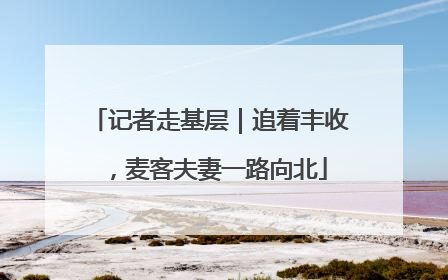 记者走基层｜追着丰收，麦客夫妻一路向北