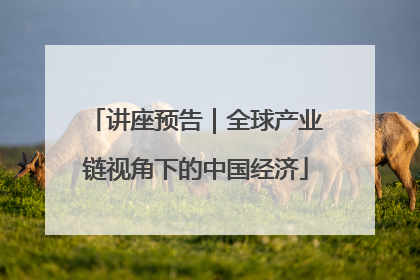 讲座预告｜全球产业链视角下的中国经济