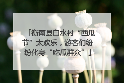 衡南县白水村“西瓜节”太欢乐，游客们纷纷化身“吃瓜群众”