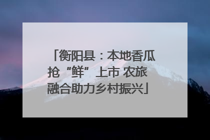 衡阳县：本地香瓜抢“鲜”上市 农旅融合助力乡村振兴