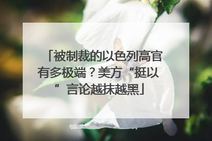 被制裁的以色列高官有多极端？美方“挺以”言论越抹越黑