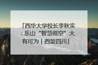 西华大学校长李秋实：乐山“智慧低空”大有可为｜西望四川