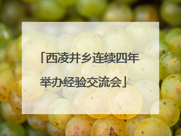 西凌井乡连续四年举办经验交流会