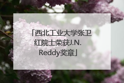西北工业大学张卫红院士荣获J.N.Reddy奖章