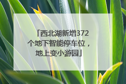 西北湖新增372个地下智能停车位，地上变小游园