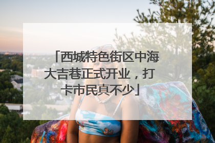 西城特色街区中海大吉巷正式开业，打卡市民真不少
