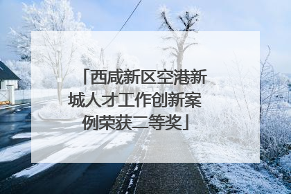 西咸新区空港新城人才工作创新案例荣获二等奖