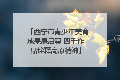 西宁市青少年美育成果展启幕 四千作品诠释高原精神