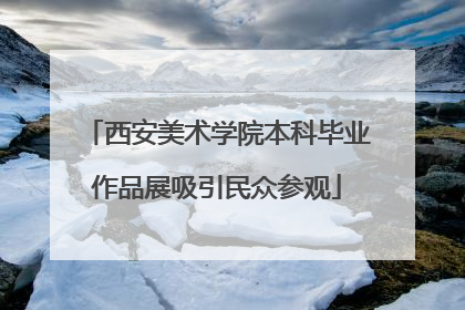 西安美术学院本科毕业作品展吸引民众参观