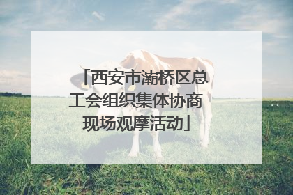 西安市灞桥区总工会组织集体协商现场观摩活动