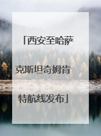 西安至哈萨克斯坦奇姆肯特航线发布