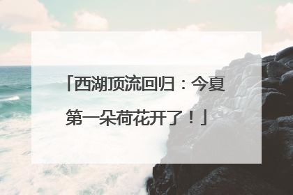 西湖顶流回归：今夏第一朵荷花开了！