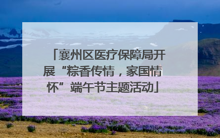 襄州区医疗保障局开展“粽香传情，家国情怀”端午节主题活动