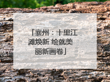 襄州：十里江滩焕新 绘就美丽新画卷