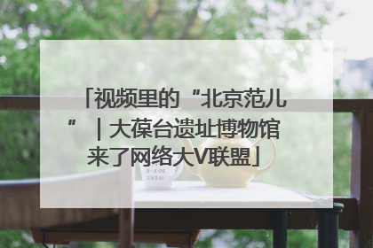 视频里的“北京范儿”｜大葆台遗址博物馆来了网络大V联盟