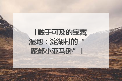 触手可及的宝藏湿地：淀湖村的“魔都小亚马逊”
