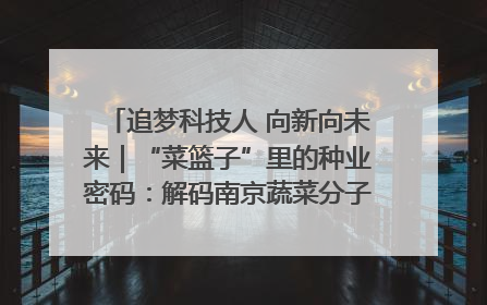 追梦科技人 向新向未来｜“菜篮子”里的种业密码：解码南京蔬菜分子育种的创新之路
