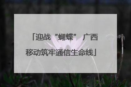 迎战“蝴蝶” 广西移动筑牢通信生命线