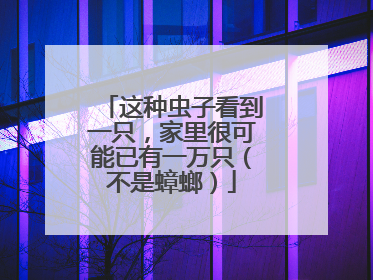 这种虫子看到一只，家里很可能已有一万只（不是蟑螂）