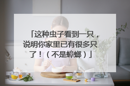 这种虫子看到一只，说明你家里已有很多只了！（不是蟑螂）