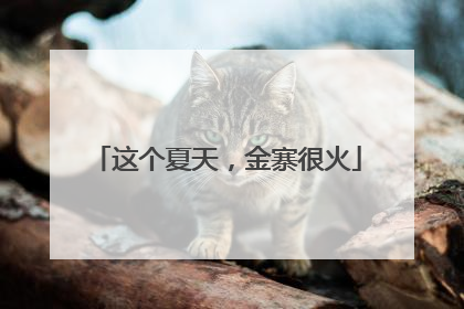 这个夏天，金寨很火