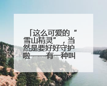 这么可爱的“雪山精灵”，当然是要好好守护啦——有一种叫云南的生活之365天