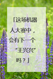 这场机器人大赛中，会有下一个“王兴兴”吗？